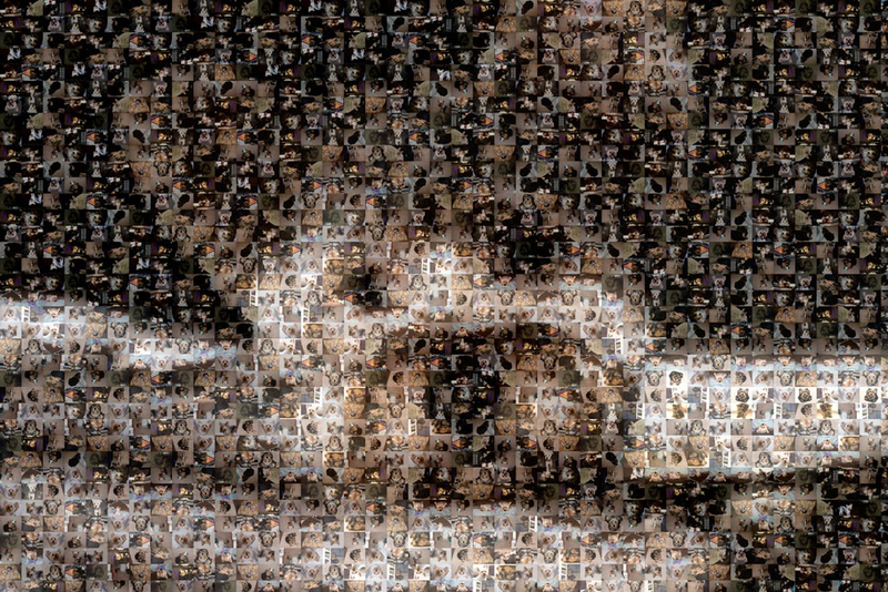 Illustration for article titled Shooting Challenge: Mosaic